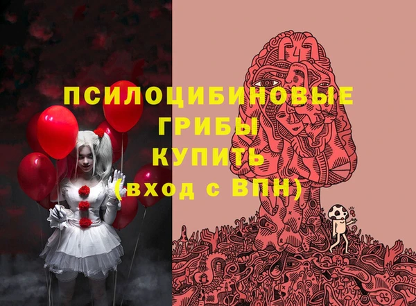 амф Медногорск