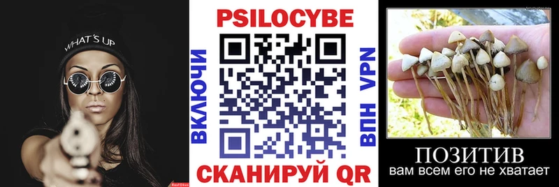Галлюциногенные грибы Magic Shrooms  закладка  Шлиссельбург 